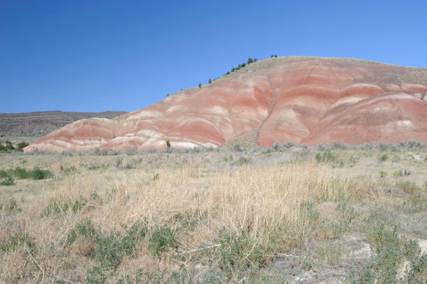 istock Colorful Landscape 173026456