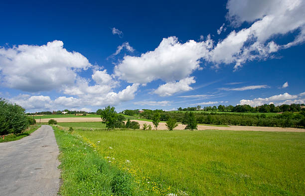 istock Summer rural scene - landscape. 173026561