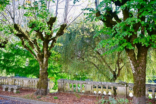 The only city in the Dordogne  surround on all sides by a ricer. The Drone River its in front of the Brantome abbey. Emperor Charlemagne founded the Benedictine monastery, abbey cloister gallery, and bell tower.