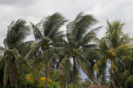 Winds increasing as a tropical storm approaches
