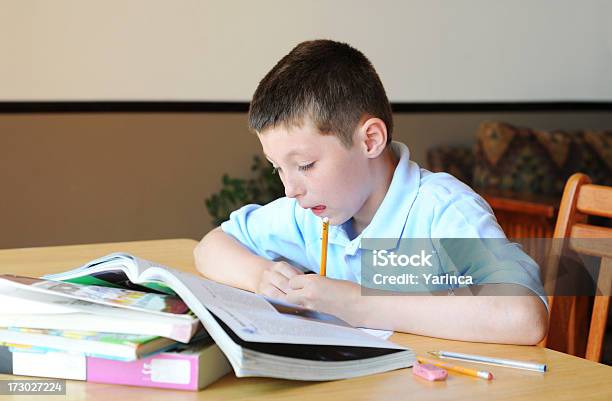 Trabalho De Casa - Fotografias de stock e mais imagens de 10-11 Anos - 10-11 Anos, 8-9 Anos, Aluno da Escola Primária