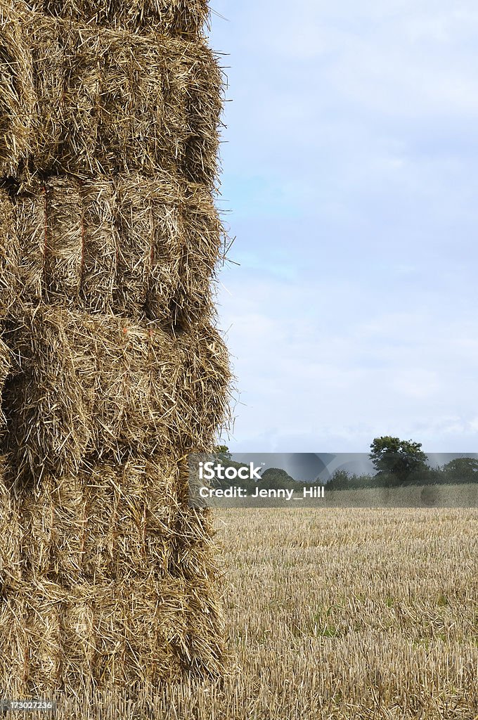 Fardos de feno - Foto de stock de Agricultura royalty-free
