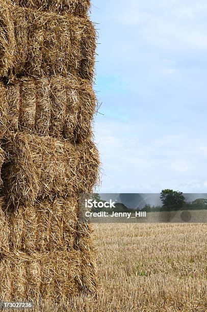 Foto de Fardos De Feno e mais fotos de stock de Agricultura - Agricultura, Campo, Conceito