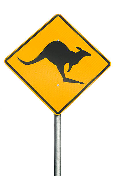 sinal de aviso de canguru - sinais de cruzamento imagens e fotografias de stock
