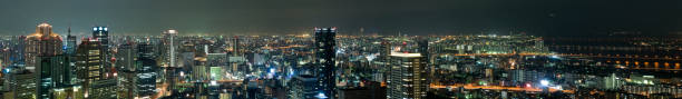 istock Panoramic View of Osaka, Japan at Night (XXL) 173027718