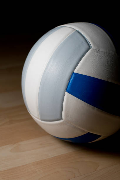 istock Profile of a Single Volleyball 173027733