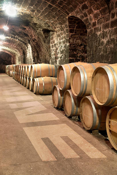 istock Wine cellar with group of barrels 173027793