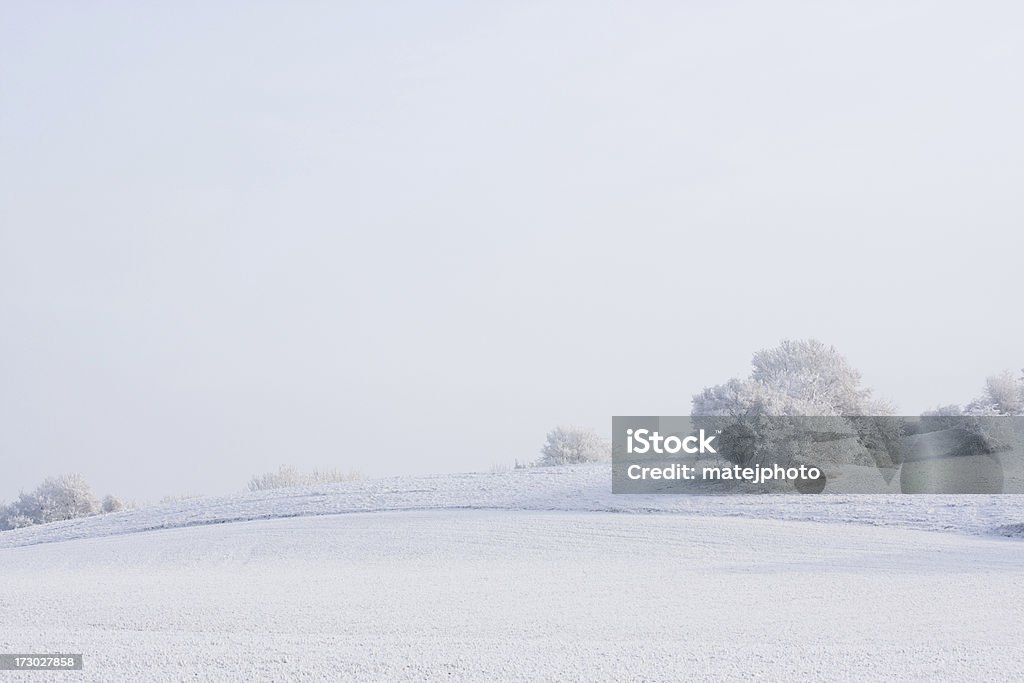 Zimowy krajobraz wiejski - Zbiór zdjęć royalty-free (Biały)