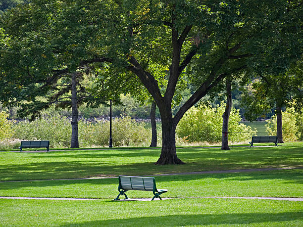 saskatoon w centrum miasta, w pobliżu rzeki park - south saskatchewan river zdjęcia i obrazy z banku zdjęć