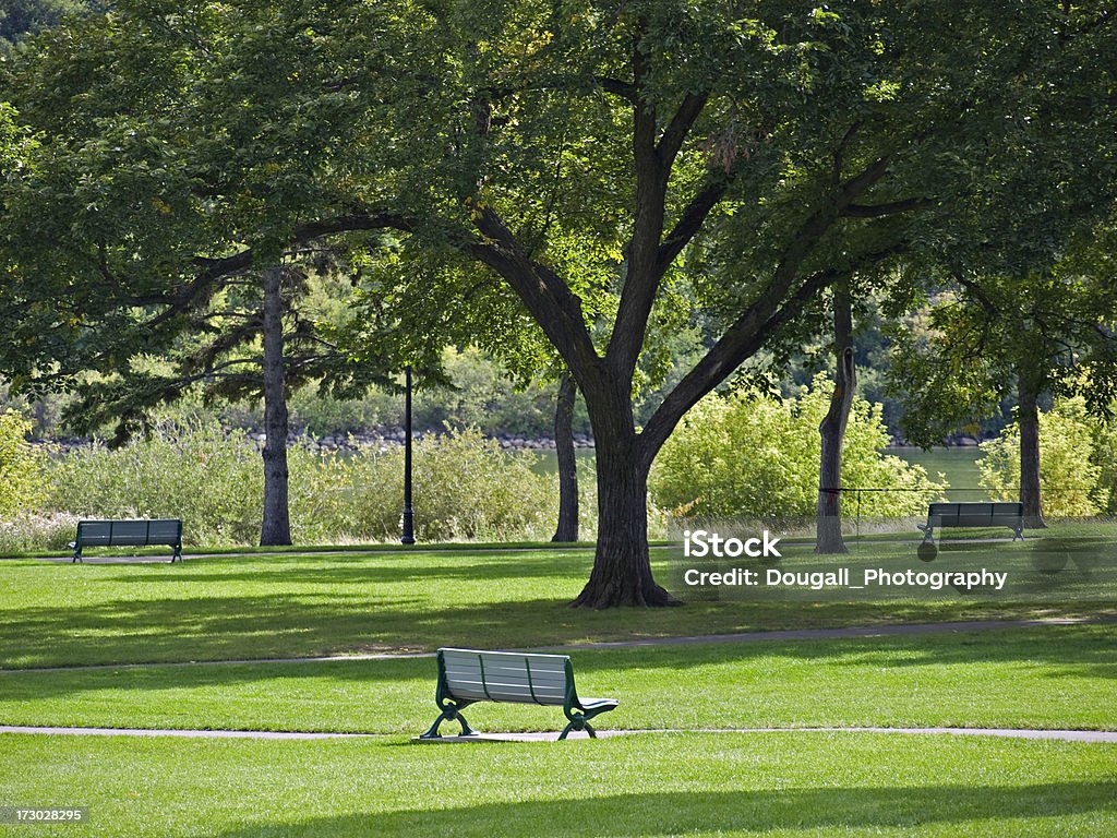 Saskatoon Parque do centro da cidade, próximo à margem do rio - Foto de stock de Parque público royalty-free