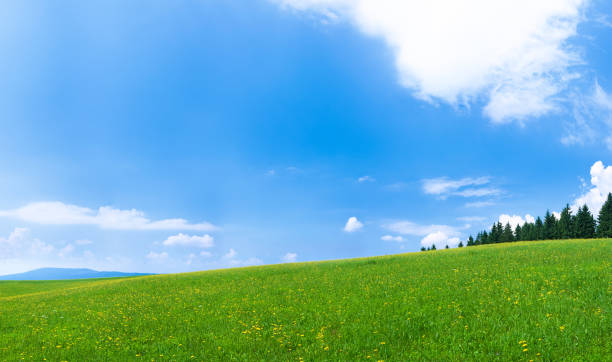 istock Panoramic spring landscape 114MPix XXXXL 173028387