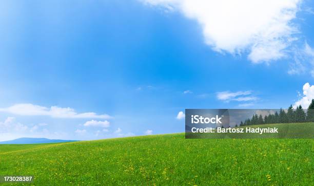 Panorâmica Paisagem De Primavera 114mpix Xxxxl - Fotografias de stock e mais imagens de Ajardinado - Ajardinado, Ao Ar Livre, Azul