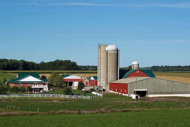 istock Red and Green Farmstead 173028909