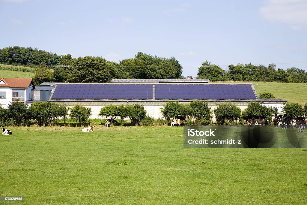 Farm con un Panel Solar - Foto de stock de Granja libre de derechos