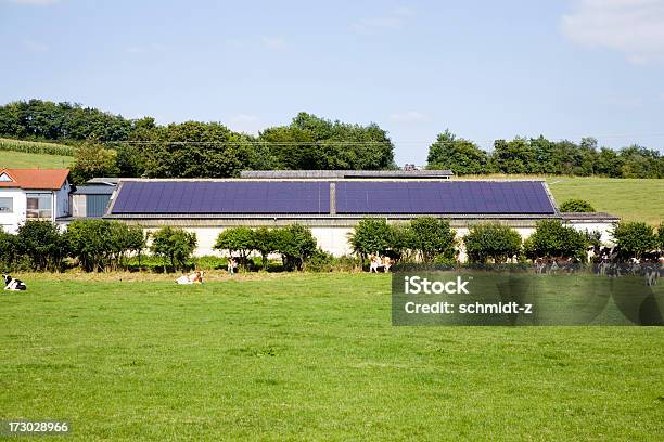 Farm Con Un Panel Solar Foto de stock y más banco de imágenes de Granja - Granja, Panel Solar, Energía solar