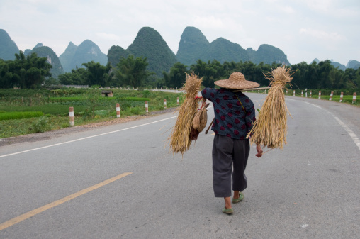 Asian Farm Worker