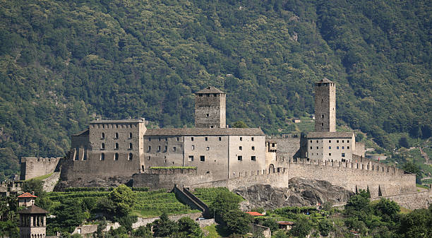 Cloudy day in summer no people. \ndrawbridge. Bellinzona