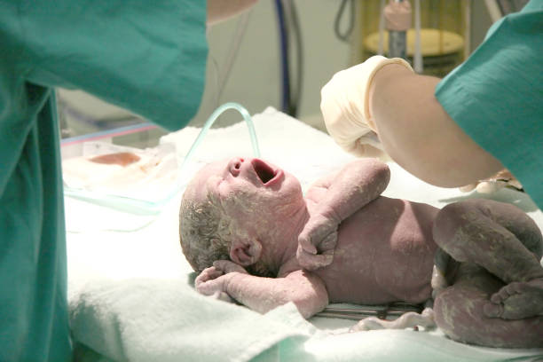 newborn baby boy stock photo