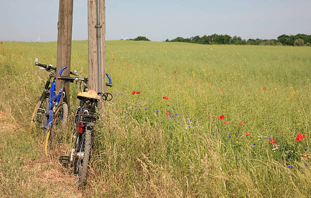 abandonado bicicletas fijas - flower red poppy sky fotografías e imágenes de stock