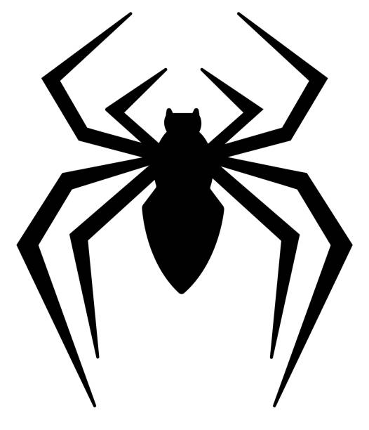 ilustrações de stock, clip art, desenhos animados e ícones de vector illustration of a spider on a transparent background - silhouette spider tarantula backgrounds