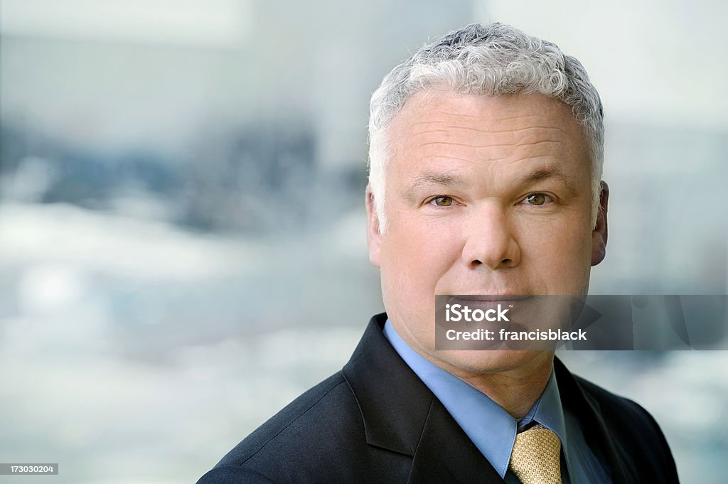 Confident CEO Portrait of a confident CEO in front of a window with very shallow depth of field, and lots of copyspace Adult Stock Photo