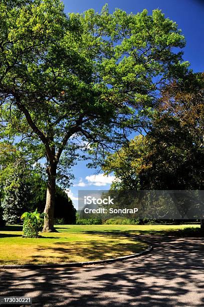 Der Perfekte Tag Stockfoto und mehr Bilder von Baum - Baum, Bildhintergrund, Blau