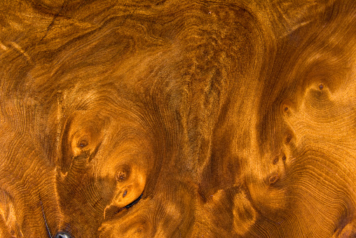 Redwood burl wood grain background.