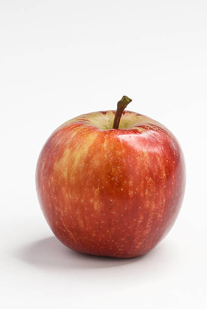 istock Organic Royal Gala Apple 173030776