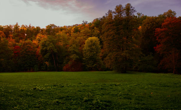 istock autumn wallpaper nature color 1730308832