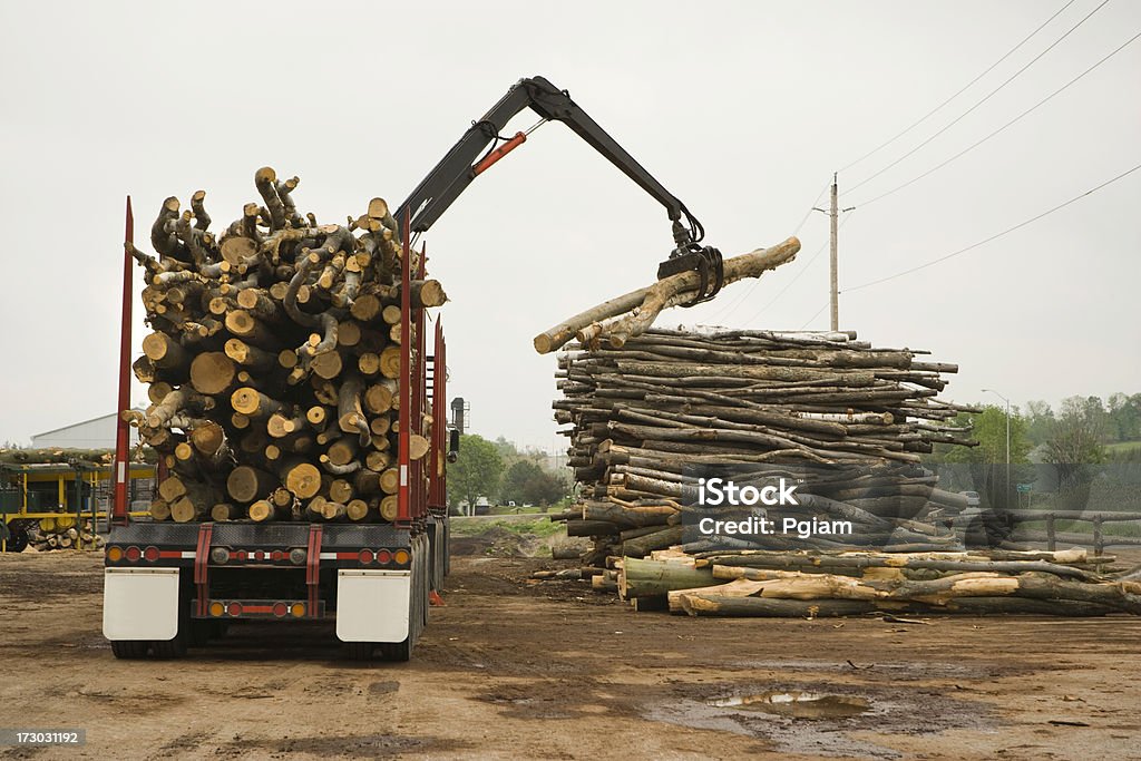 Crane sortes en bois - Photo de Agriculture libre de droits