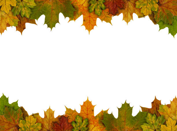 istock autumn leaves frame isolated on white 173031930
