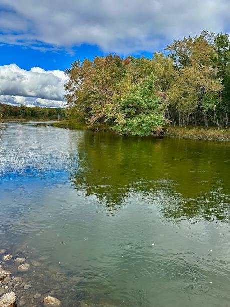 istock Huron-Manistee National Forest Rainbow Bend Access Site. 1730319898