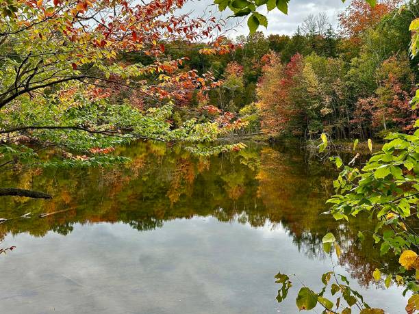 istock Huron-Manistee National Forest Red Bridge River Access 1730321489