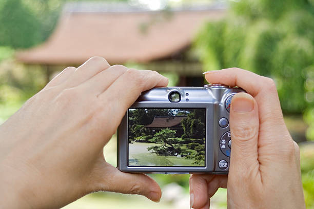 istock Taking picture with point and shoot digital camera 173032239