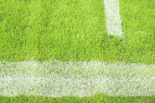 istock Grass Sports Field Turf Sideline Stripe 173032829