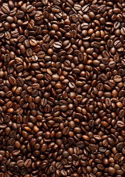 Photo of Coffee Beans XXXL - Vertical