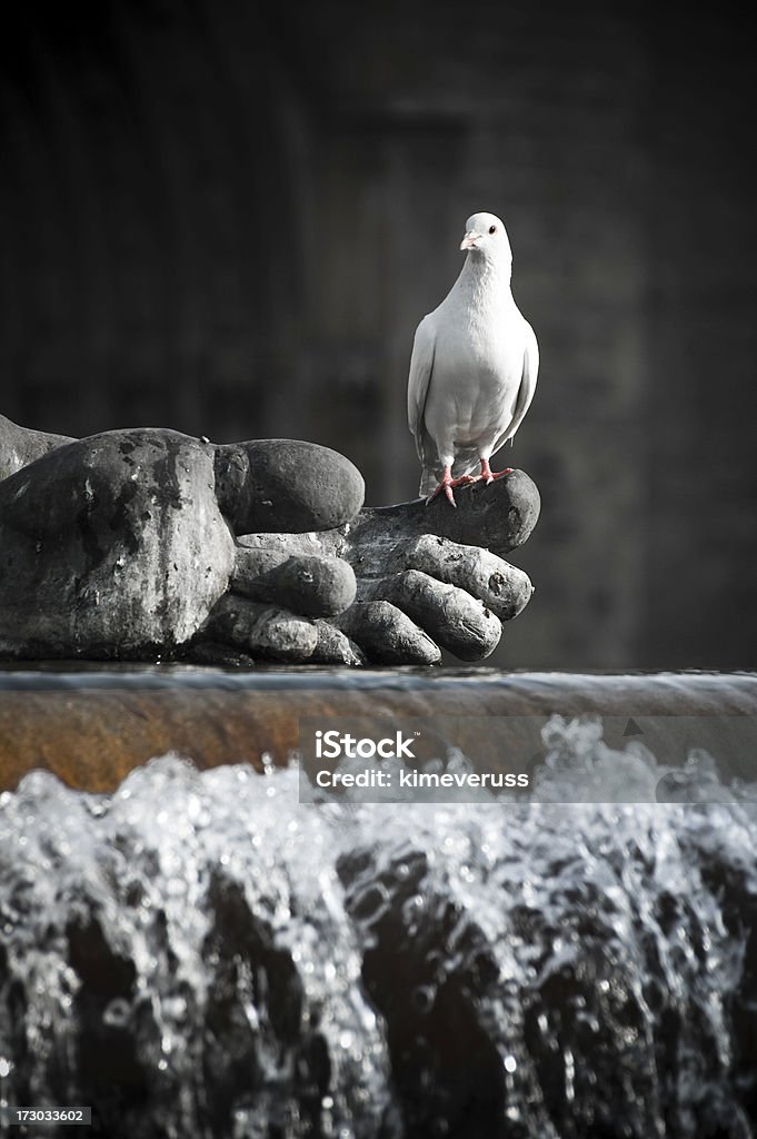Pigeon Valencia en Espagne, de la fontaine de pierre à l'avant-pied - Photo de Antique libre de droits