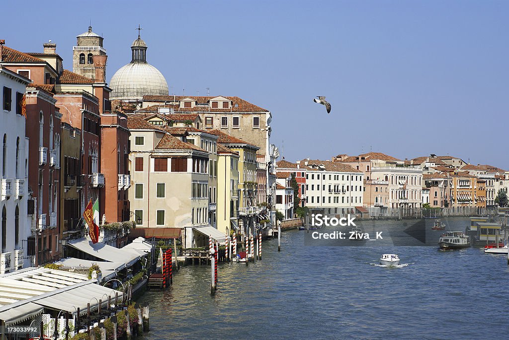 Venice grand canal with seagull in flight Venice Grand canal with seagull in flight. Architectural Dome Stock Photo