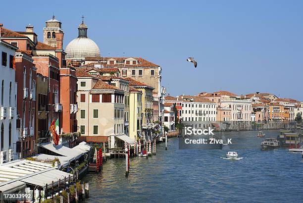 Venice Grand Canal With Seagull In Flight Stock Photo - Download Image Now - Architectural Dome, Architecture, Blue