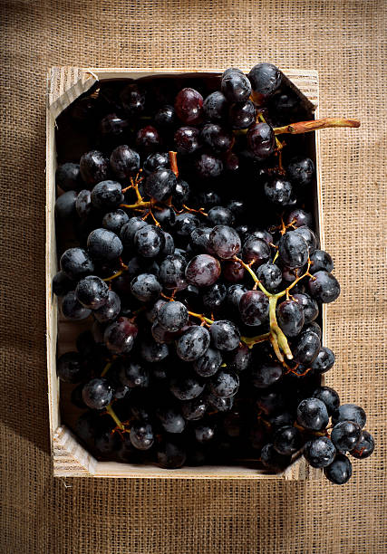 istock california black grapes 173034170