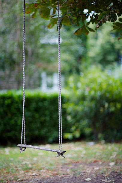 istock Rope swing detail 173034469