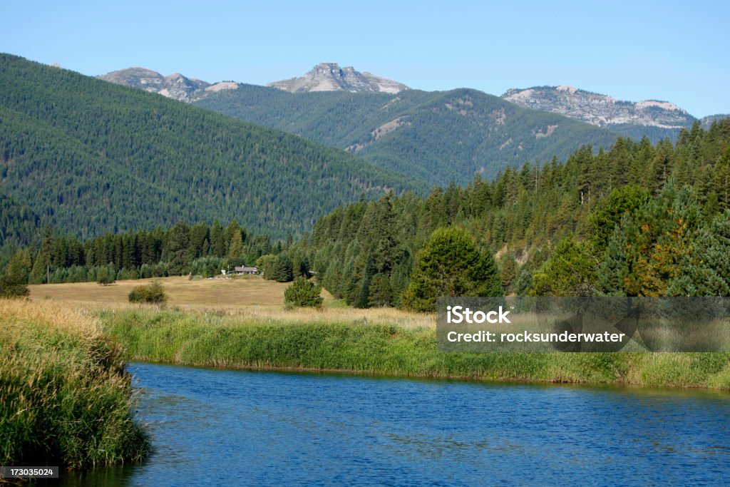 Mountain de séjour - Photo de Arbre libre de droits