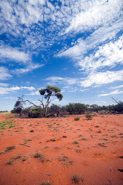 istock Western Australia - outback scenic 173035229