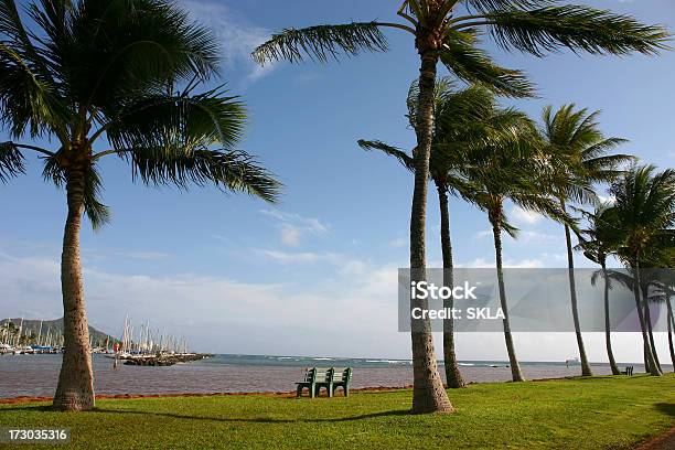 Foto de Havaí Panorâmico Com Vista Para O Oceano Pacífico e mais fotos de stock de Arrebentação - Arrebentação, Atividade Recreativa, Azul