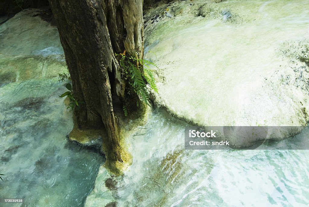 Erawan Wasserfall Tree - Lizenzfrei Anhöhe Stock-Foto