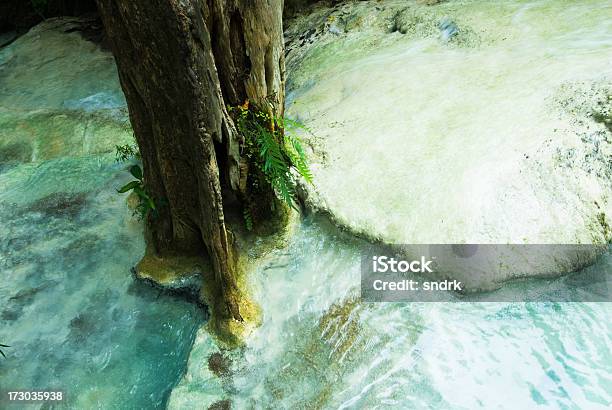 Cataratas De Erawan Árvore - Fotografias de stock e mais imagens de Ao Ar Livre - Ao Ar Livre, Cascata, Cataratas de Erawan