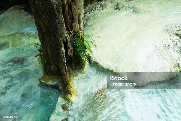 Водопад Эраван Дерево — стоковые фотографии и другие картинки Без людей - Без людей, Вода, Водопад