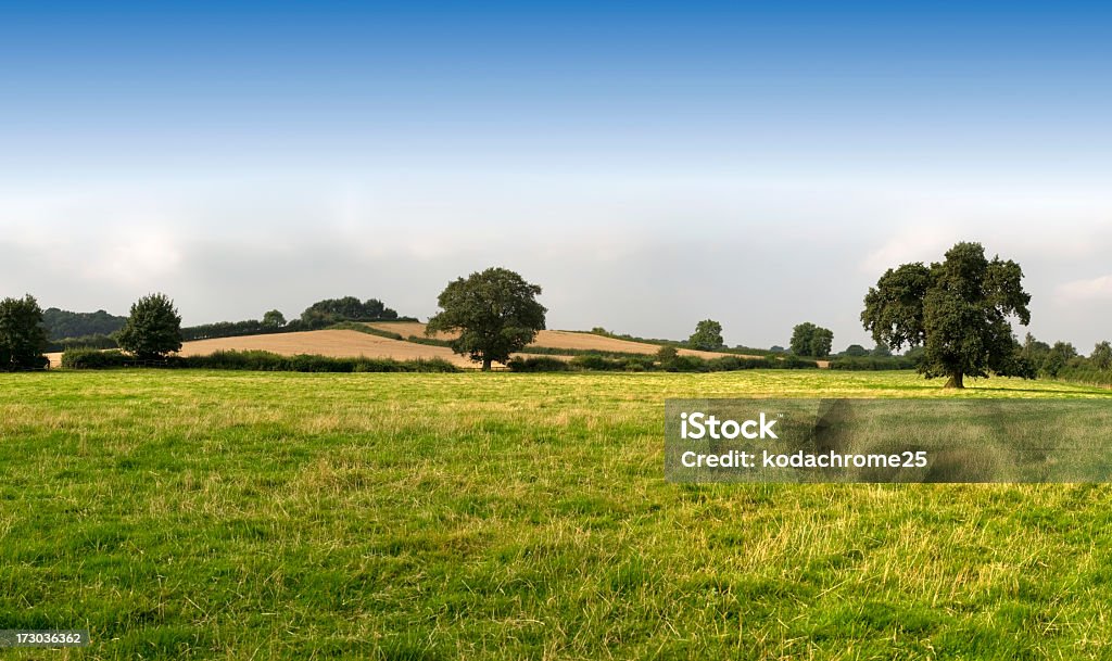 O campo - Royalty-free Agricultura Foto de stock