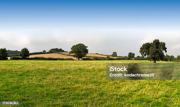 O Campo - Fotografias de stock e mais imagens de Agricultura - Agricultura, Ao Ar Livre, Azul