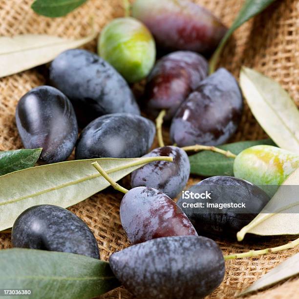 Schwarze Oliven Auf Leinwand Stockfoto und mehr Bilder von Blatt - Pflanzenbestandteile - Blatt - Pflanzenbestandteile, Braun, Ernten